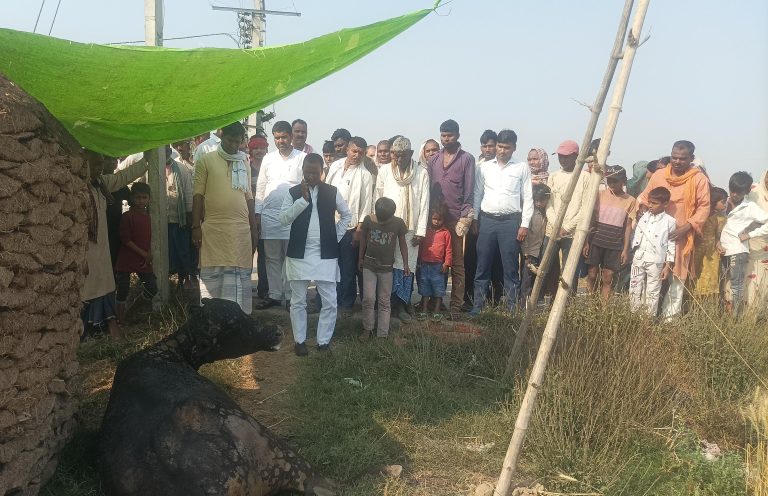 अज्ञात कारणों से झोपडी में लगी आग